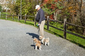 Walking & bike trails